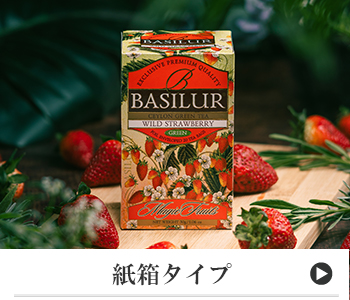 紙箱タイプ